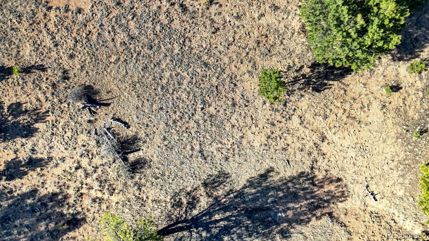 Lot 5103 Anasazi Road Hartsel CO 80449