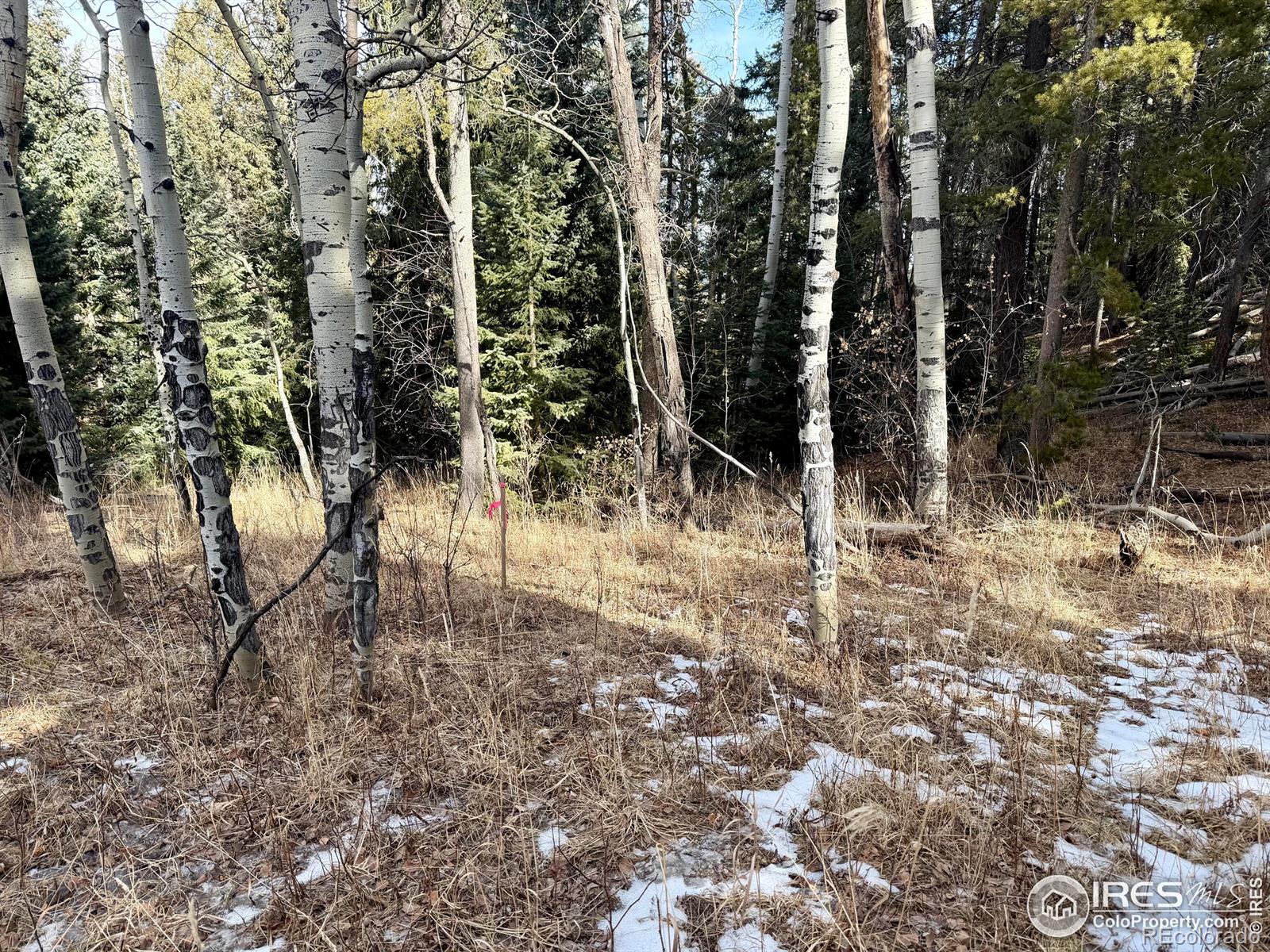 0 Snowy Trail Conifer CO 80433