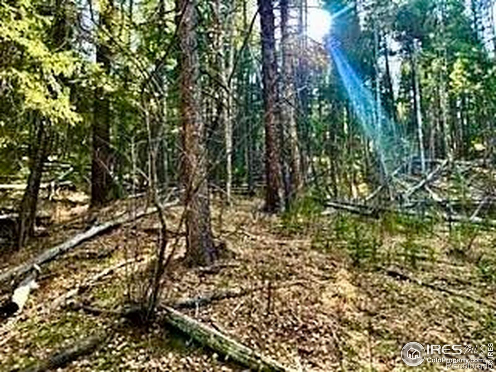 0 Snowy Trail Conifer CO 80433