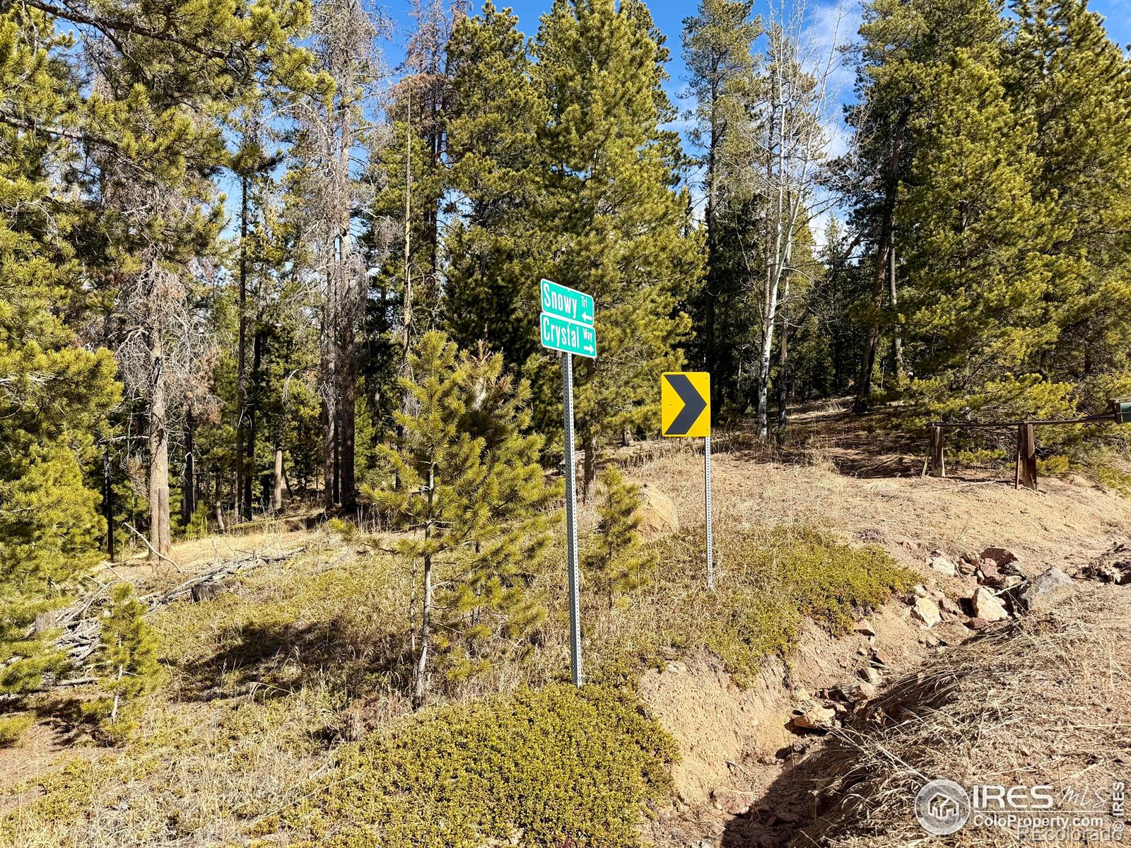 0 Snowy Trail Conifer CO 80433