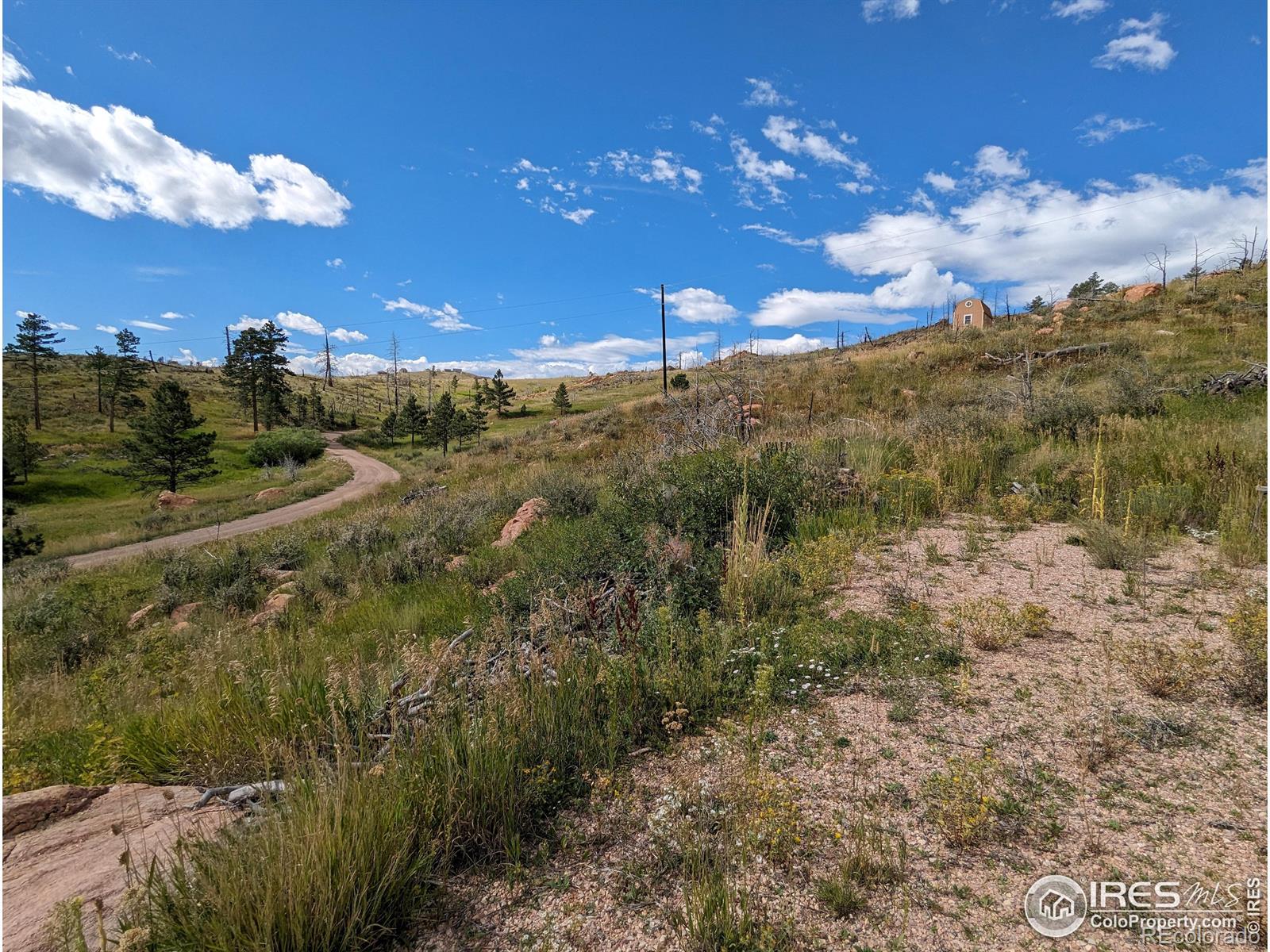 1737 Eiger Road Livermore CO 80536