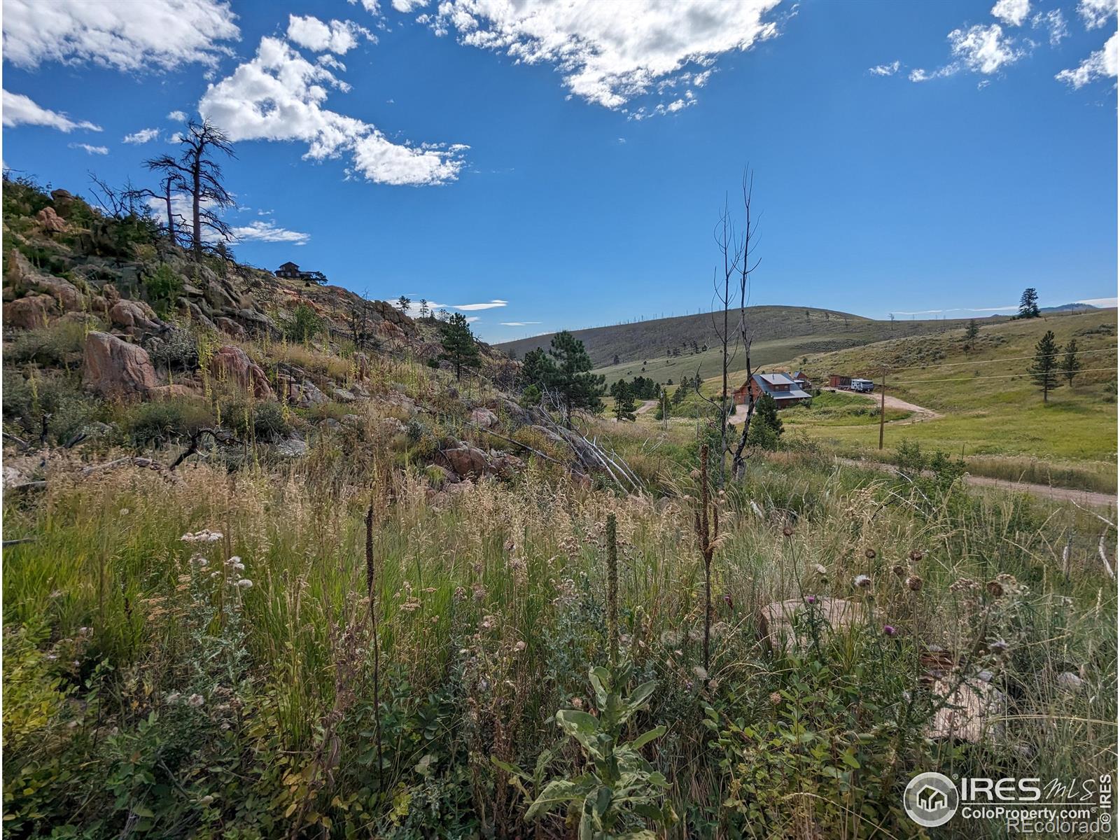 1737 Eiger Road Livermore CO 80536