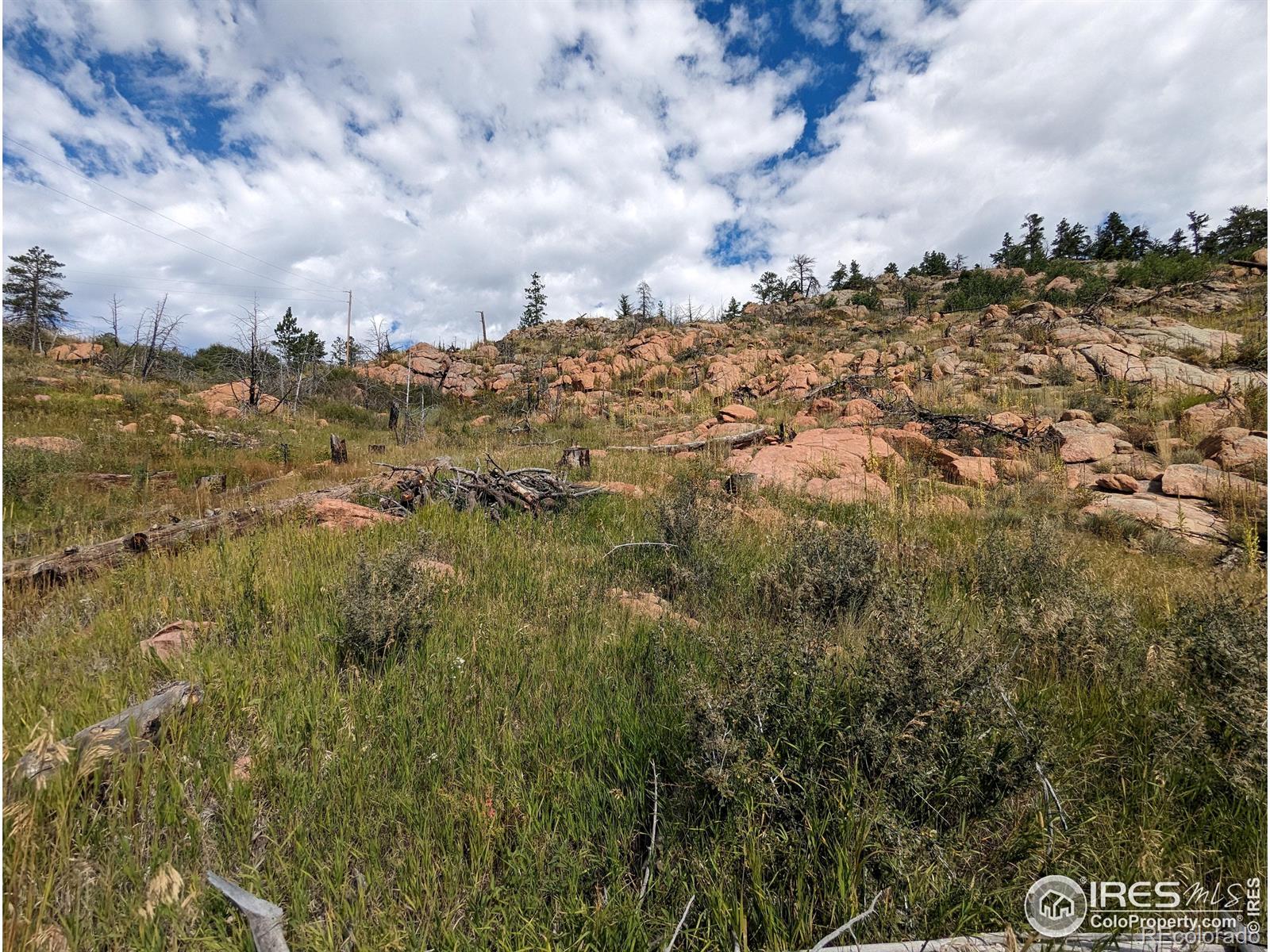 1737 Eiger Road Livermore CO 80536