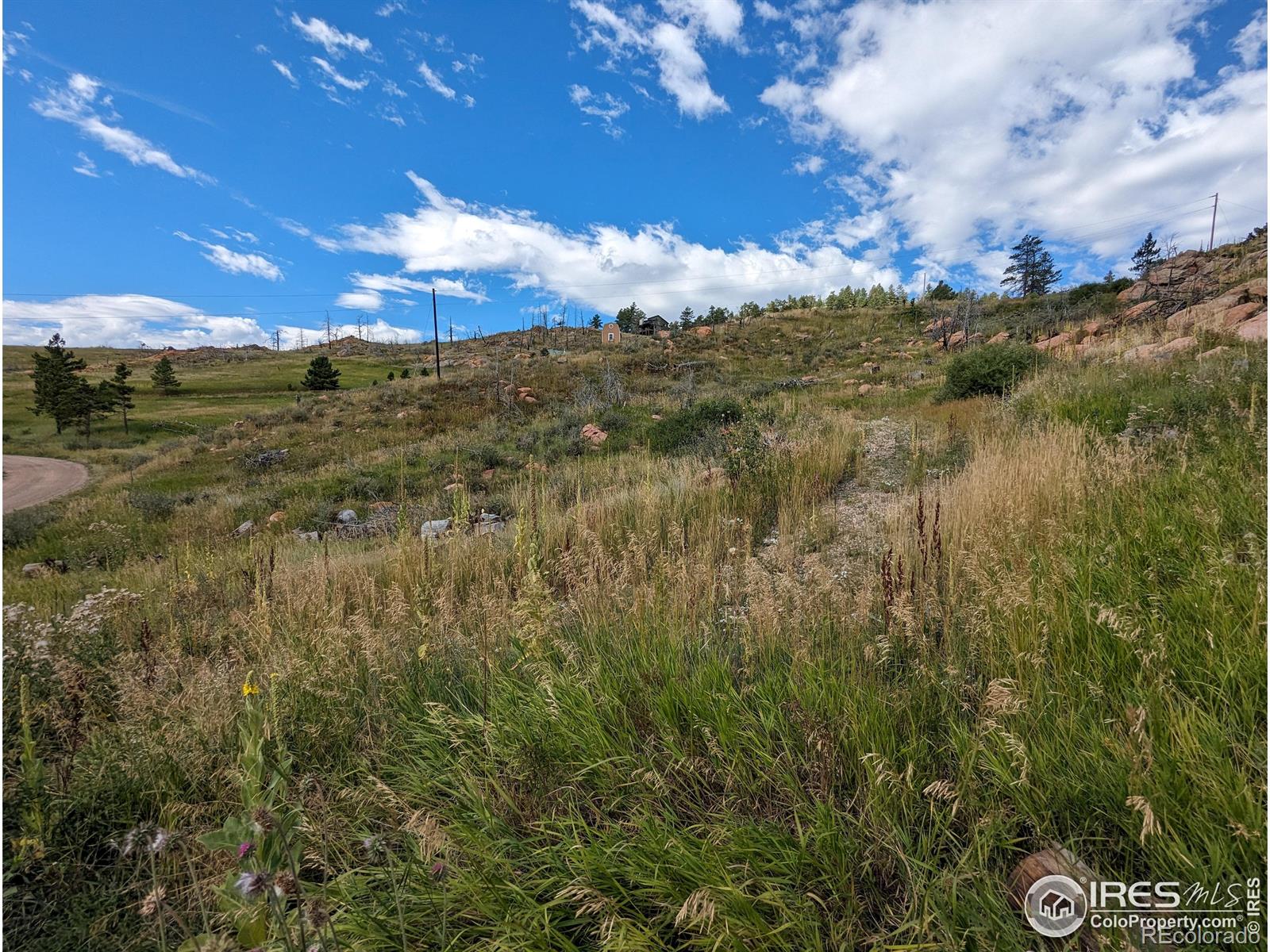 1737 Eiger Road Livermore CO 80536
