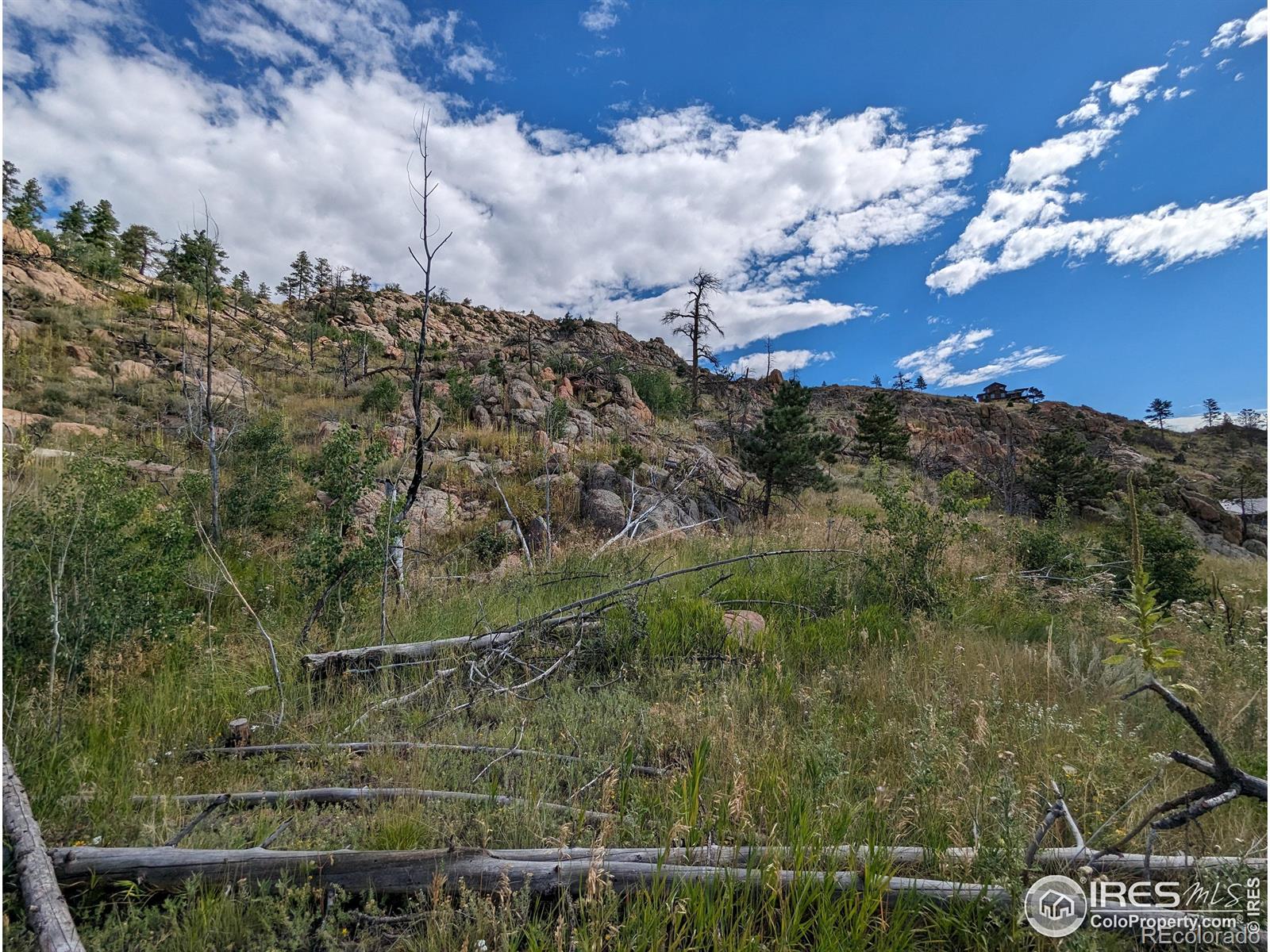 1737 Eiger Road Livermore CO 80536