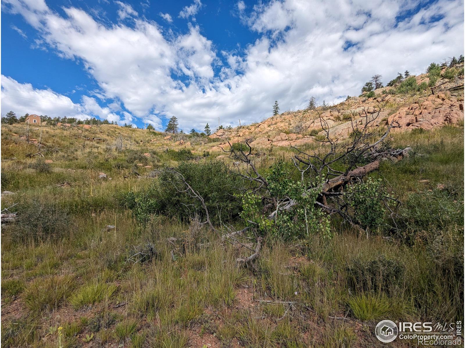 1737 Eiger Road Livermore CO 80536