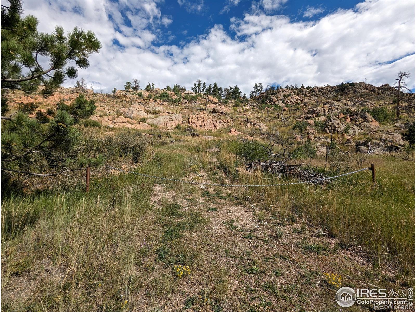 1737 Eiger Road Livermore CO 80536