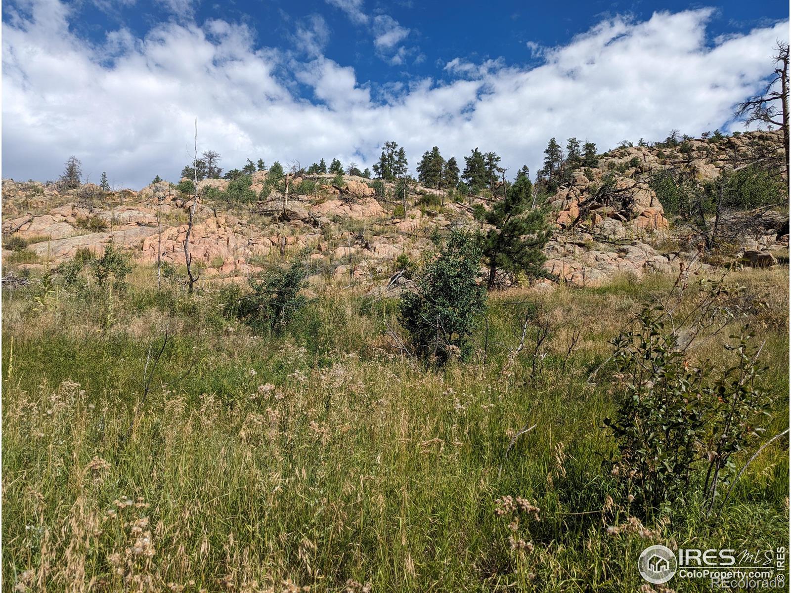1737 Eiger Road Livermore CO 80536