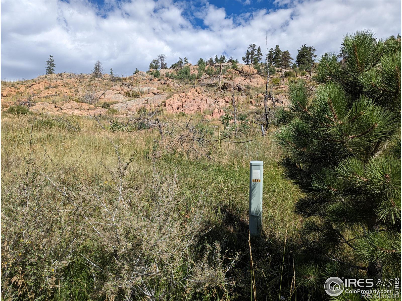 1737 Eiger Road Livermore CO 80536