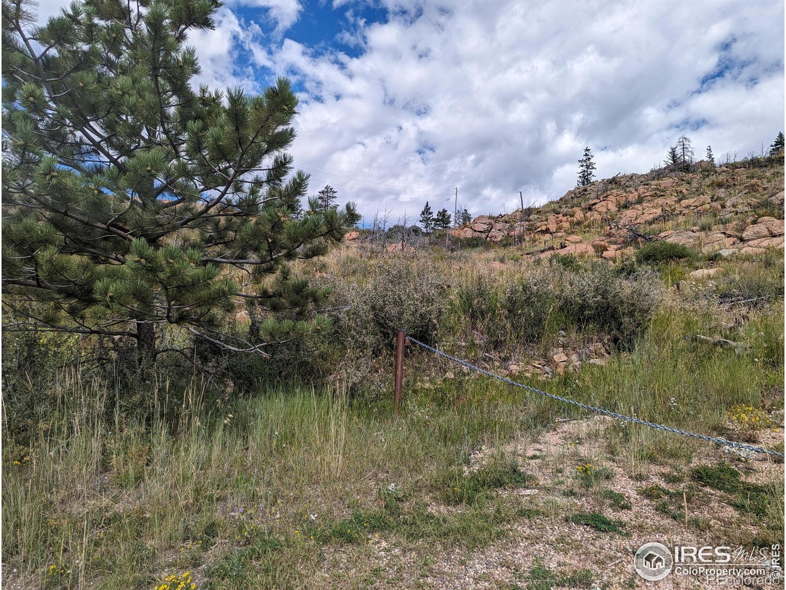 1737 Eiger Road Livermore CO 80536