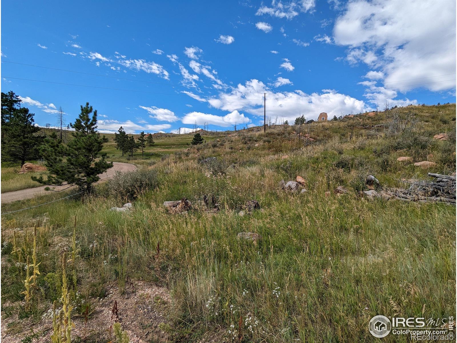 1737 Eiger Road Livermore CO 80536