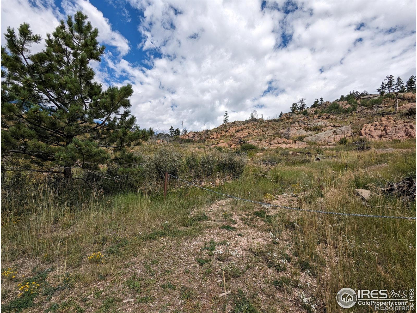 1737 Eiger Road Livermore CO 80536