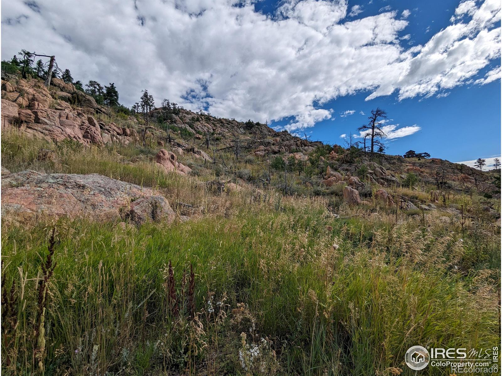 1737 Eiger Road Livermore CO 80536