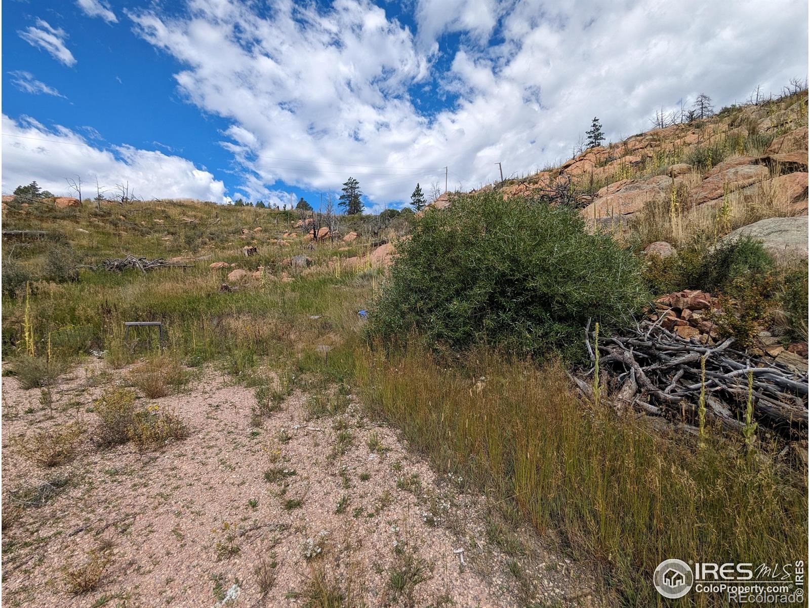 1737 Eiger Road Livermore CO 80536