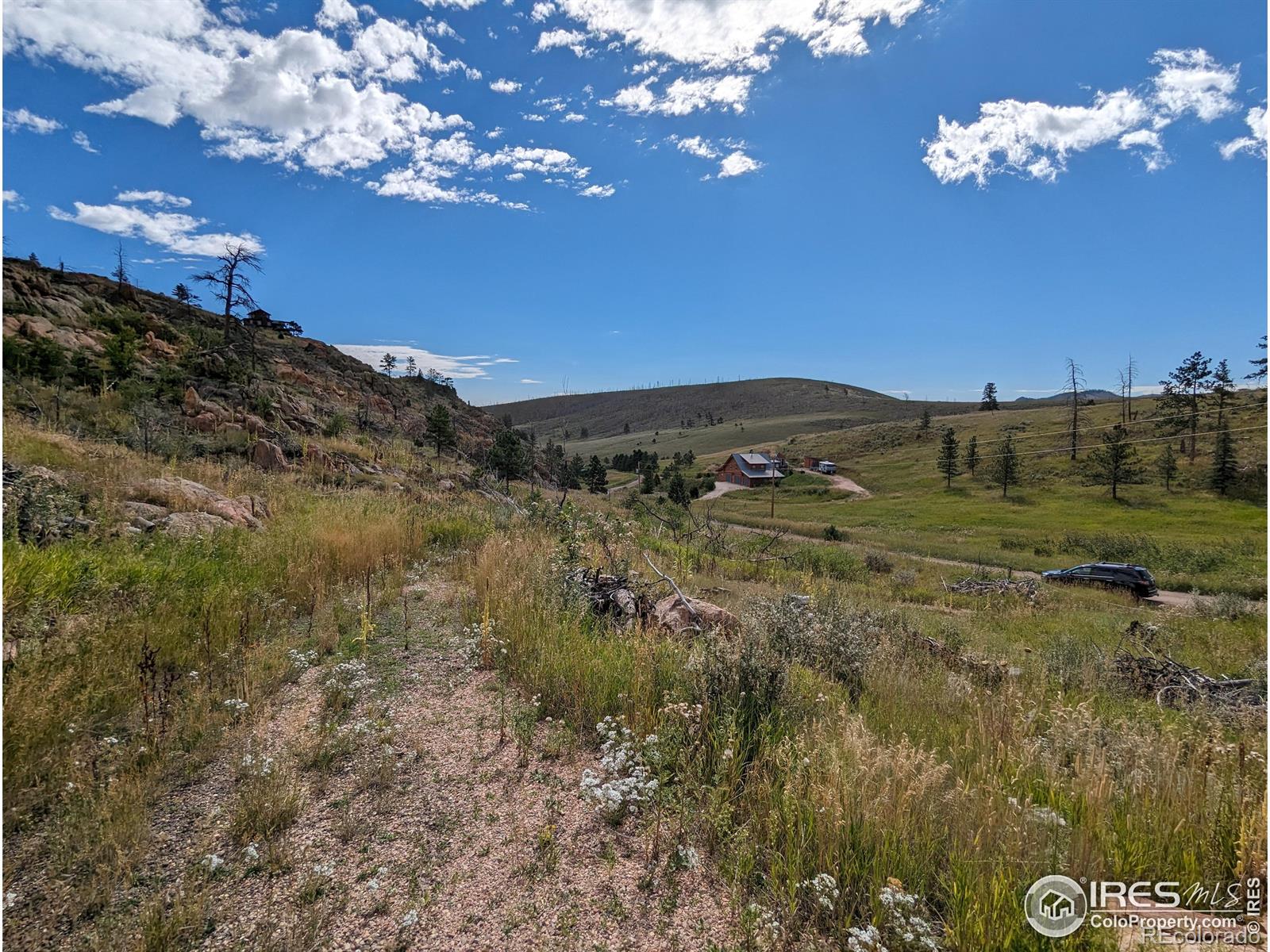 1737 Eiger Road Livermore CO 80536