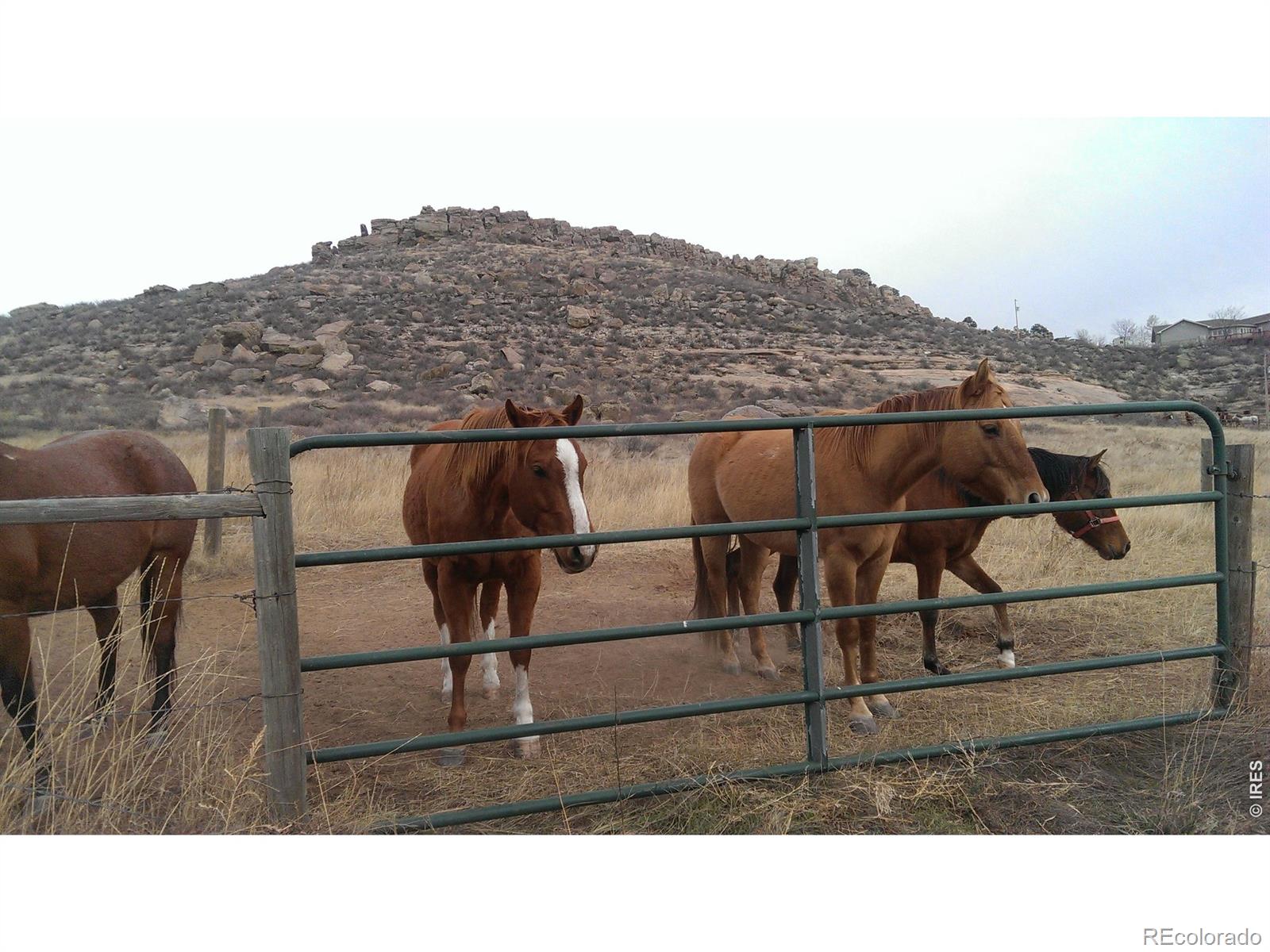 4318 Green Mile Drive Laporte CO 80535