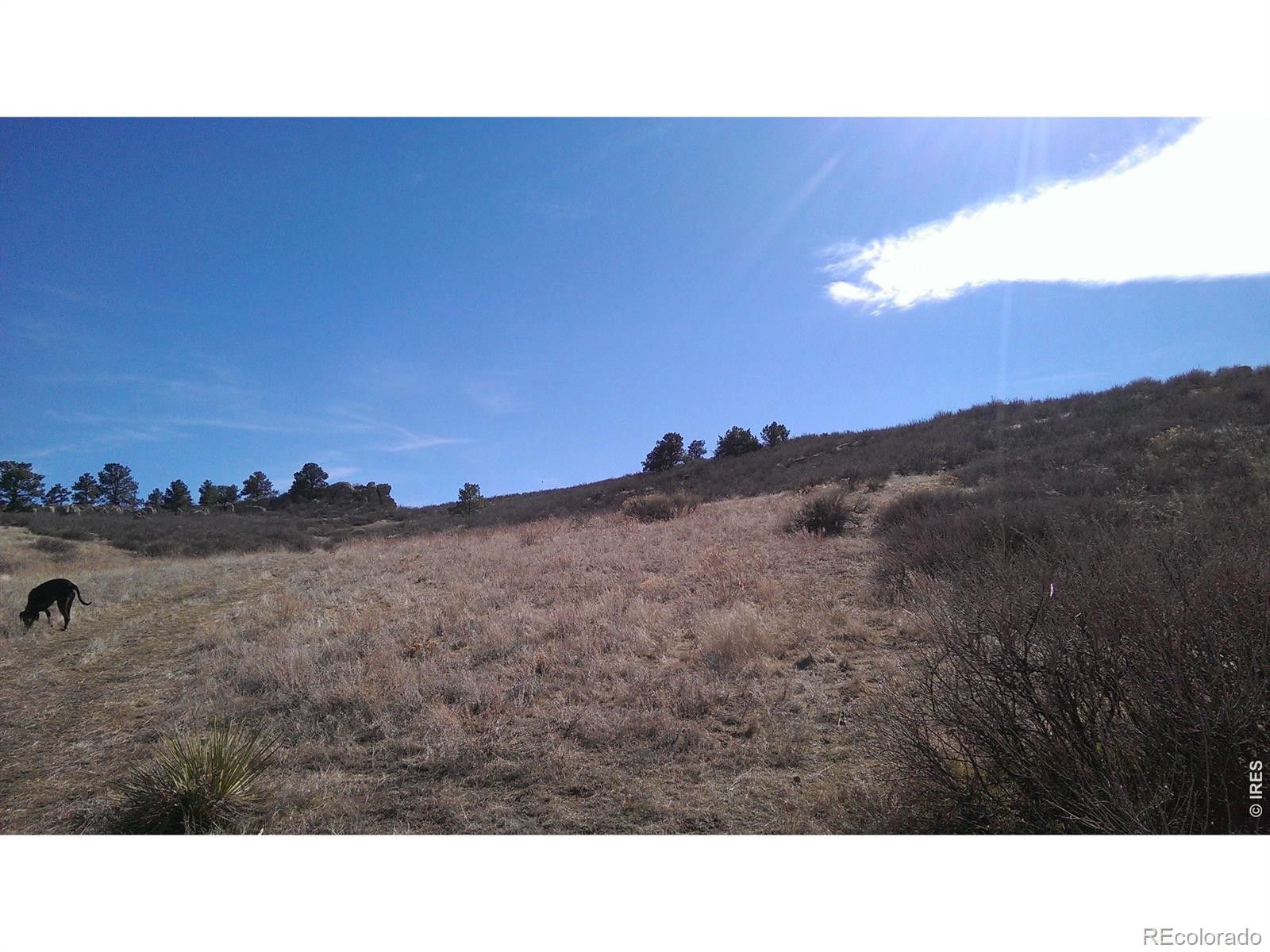 4318 Green Mile Drive Laporte CO 80535