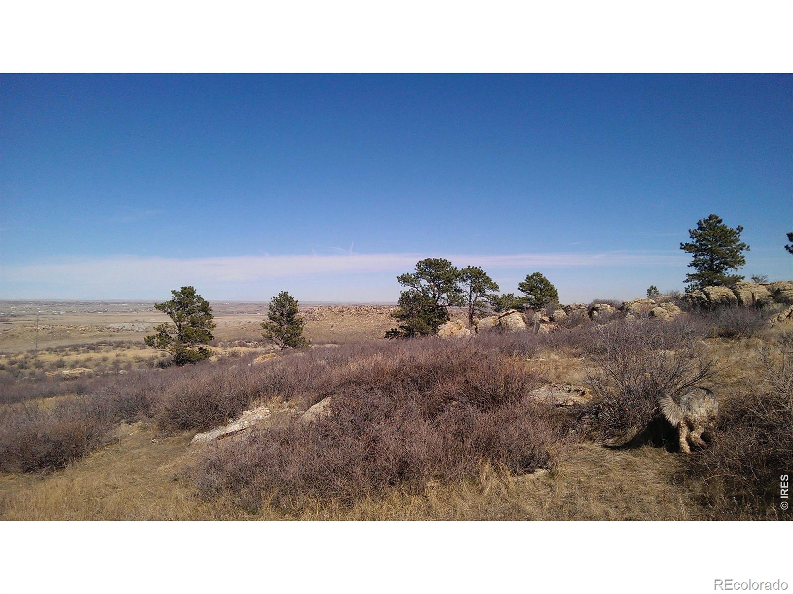 4318 Green Mile Drive Laporte CO 80535