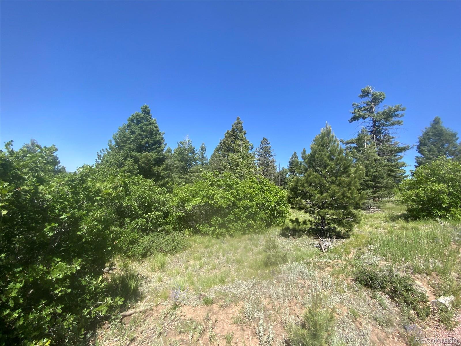 Peak View Ridge Canon City CO 81212