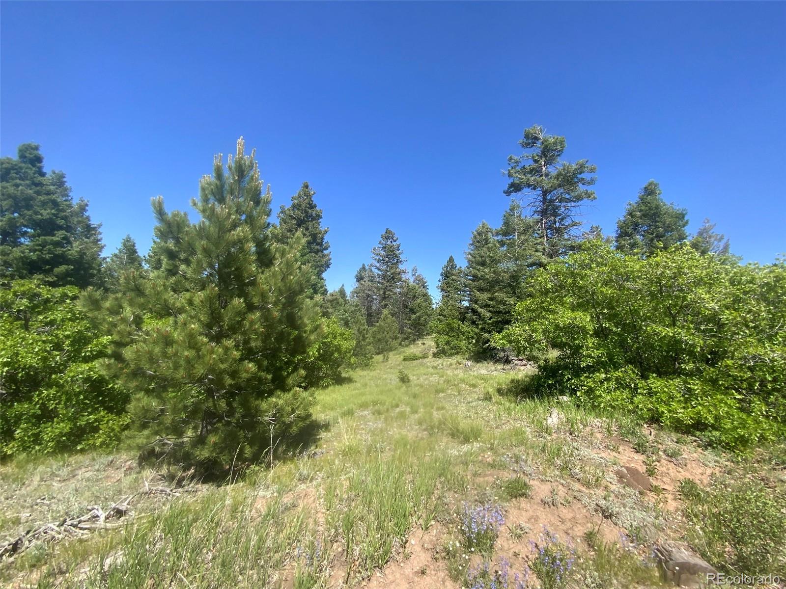 Peak View Ridge Canon City CO 81212