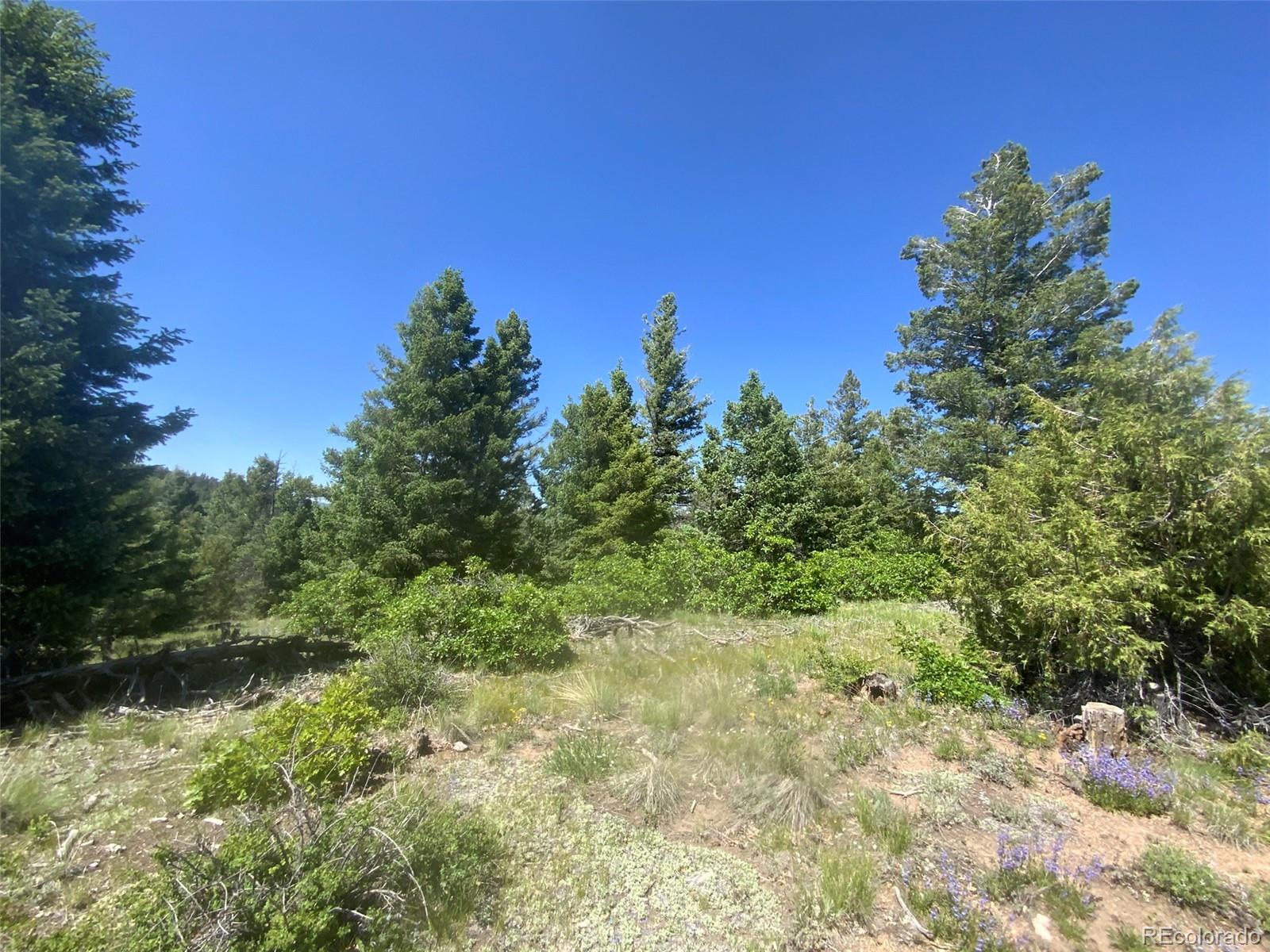 Peak View Ridge Canon City CO 81212