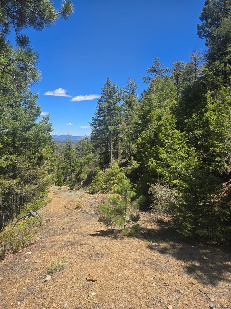Peak View Ridge Canon City CO 81212