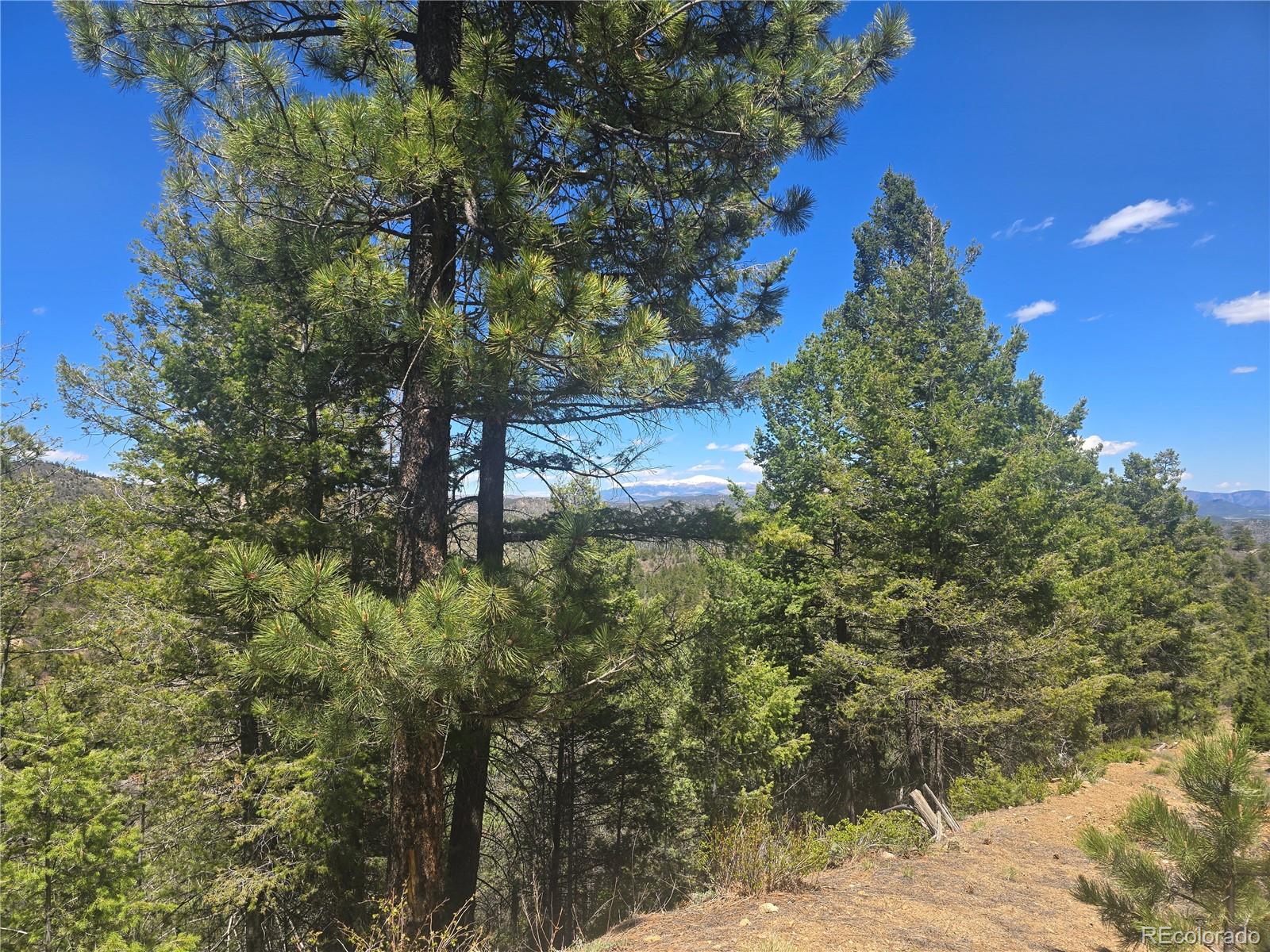 Peak View Ridge Canon City CO 81212