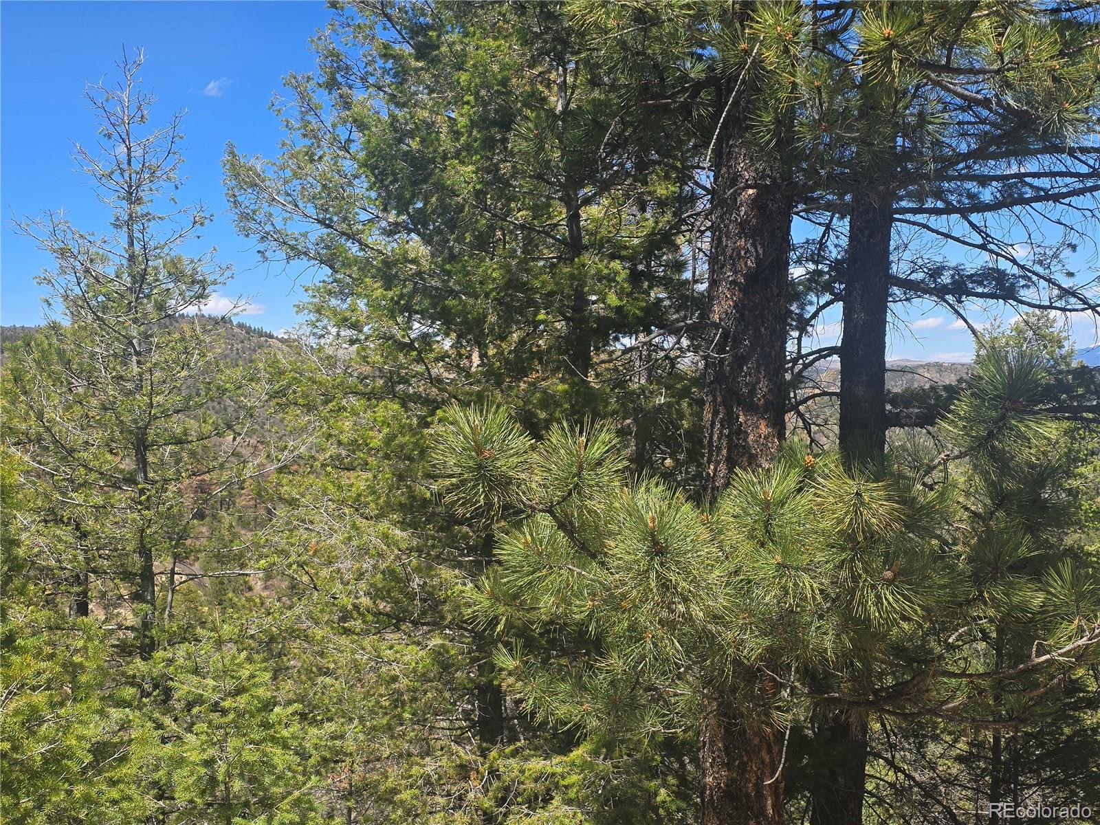 Peak View Ridge Canon City CO 81212