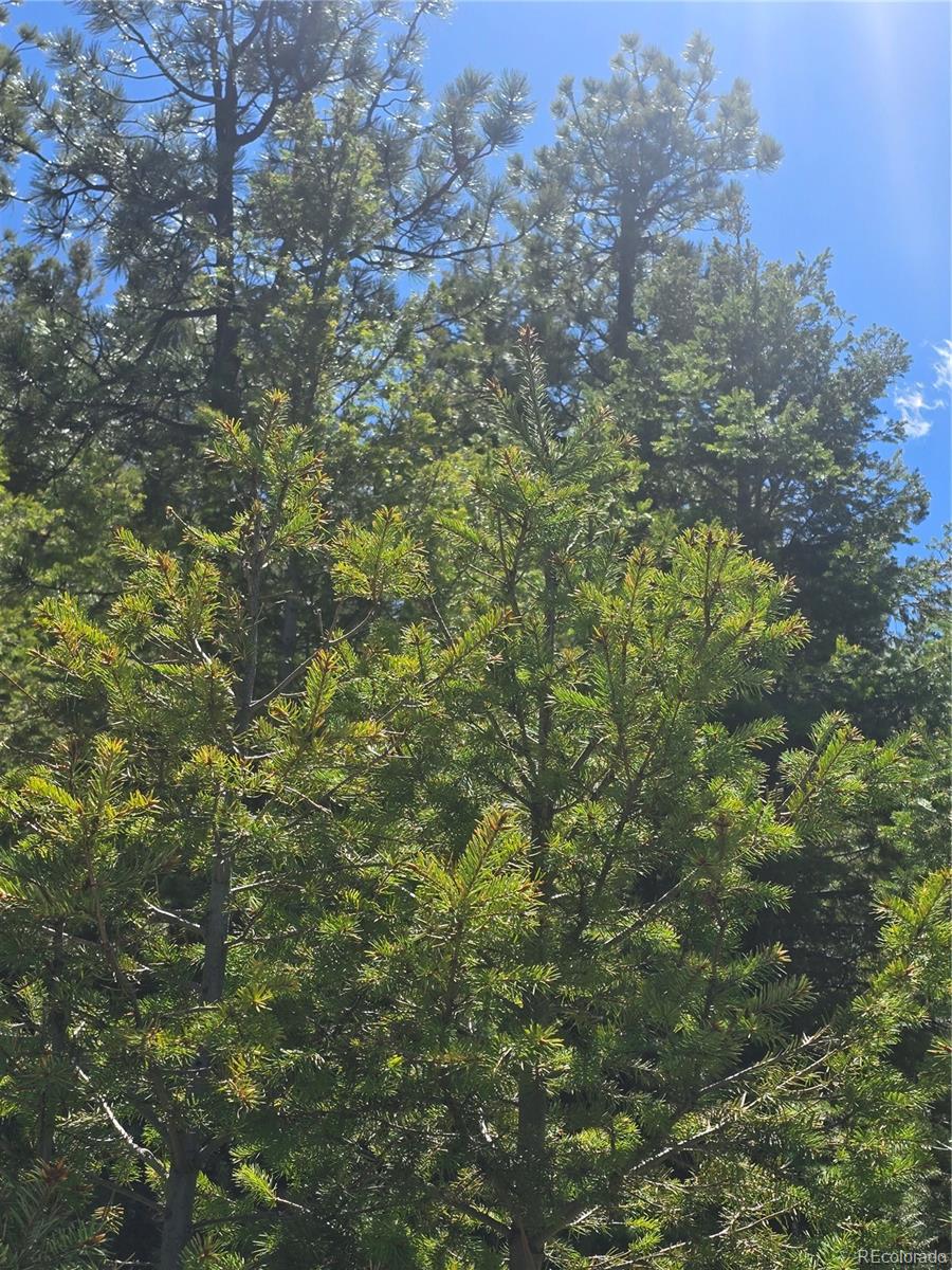Peak View Ridge Canon City CO 81212