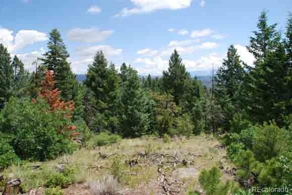 Peak View Ridge Canon City CO 81212