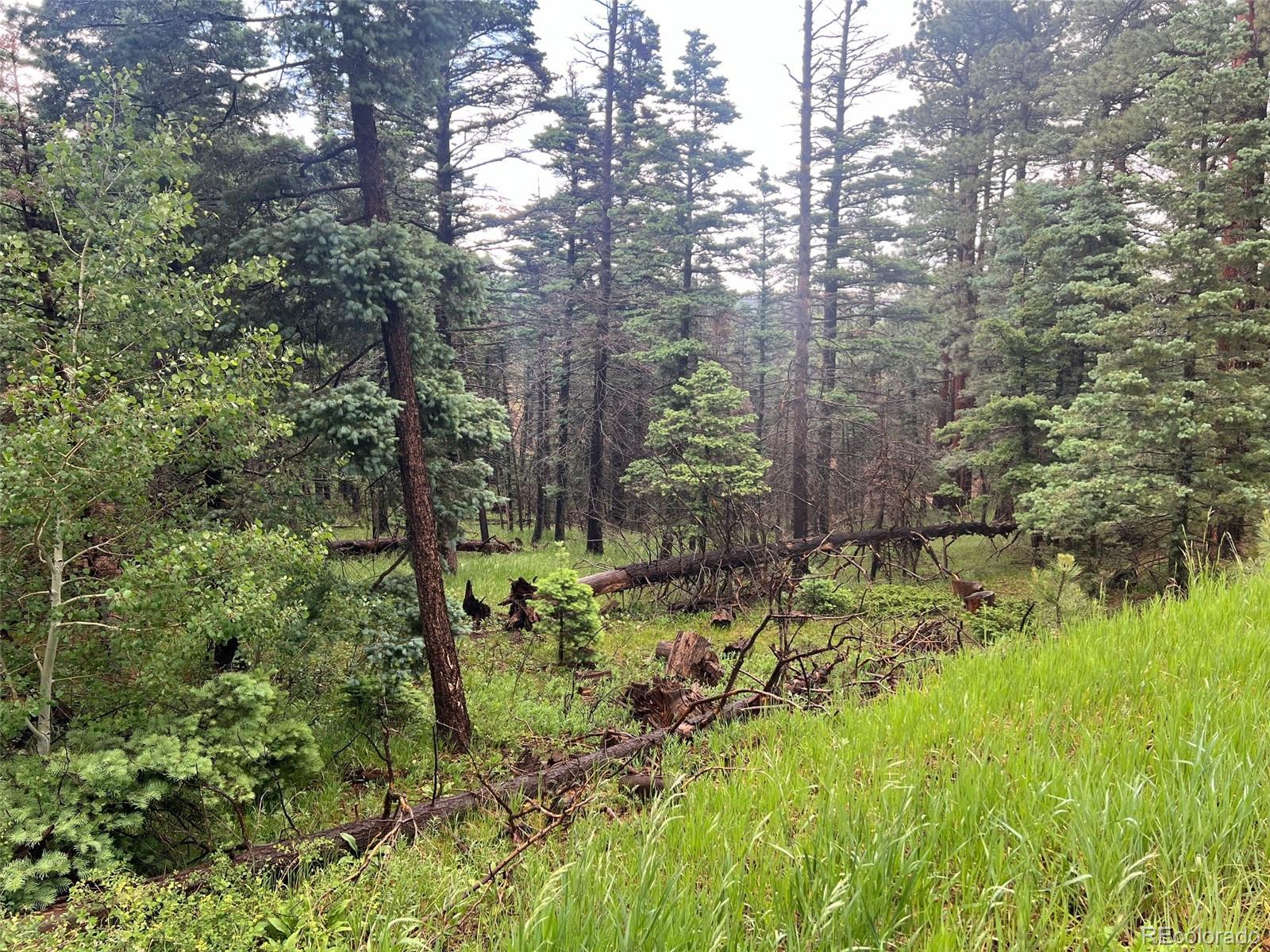 County Road 406 Cuchara CO 81055