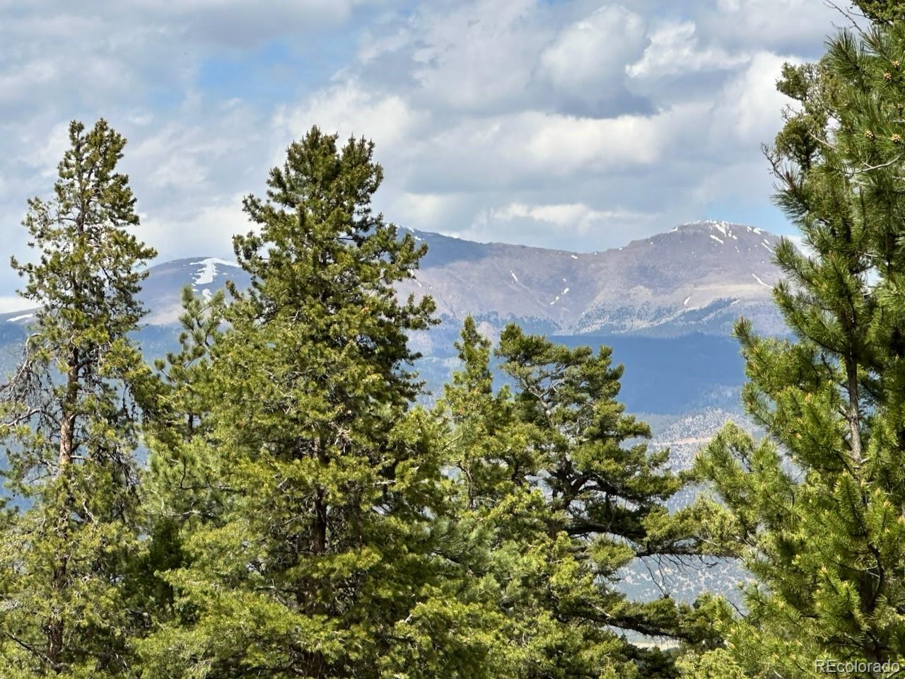 30385 National Forest Drive Buena Vista CO 81211
