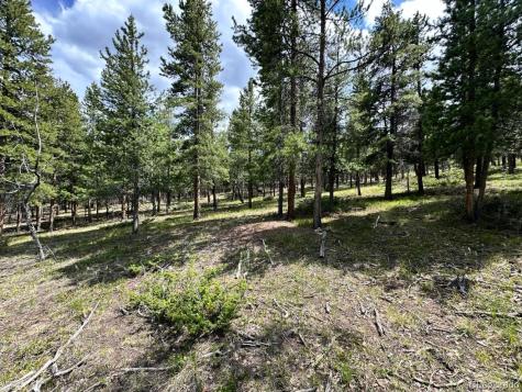 30385 National Forest Drive Buena Vista CO 81211