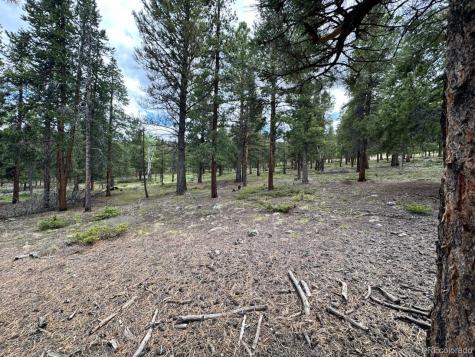 30385 National Forest Drive Buena Vista CO 81211