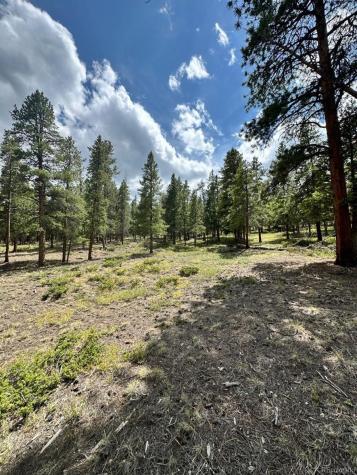 30385 National Forest Drive Buena Vista CO 81211