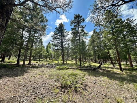 30385 National Forest Drive Buena Vista CO 81211
