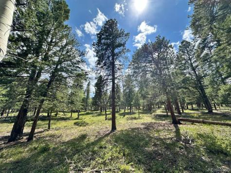 30385 National Forest Drive Buena Vista CO 81211