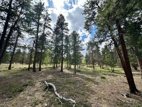 30385 National Forest Drive Buena Vista CO 81211