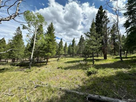 30385 National Forest Drive Buena Vista CO 81211