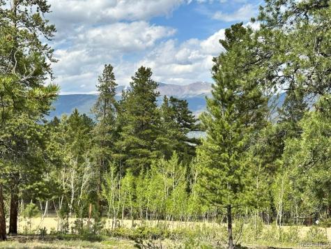 30385 National Forest Drive Buena Vista CO 81211