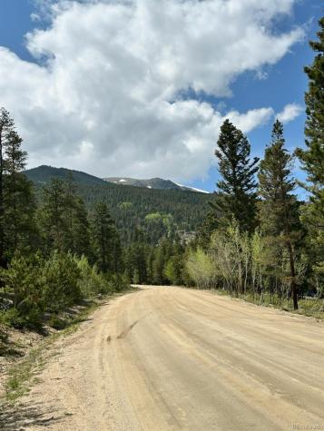 30385 National Forest Drive Buena Vista CO 81211