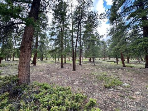 30385 National Forest Drive Buena Vista CO 81211
