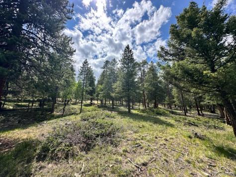 30385 National Forest Drive Buena Vista CO 81211