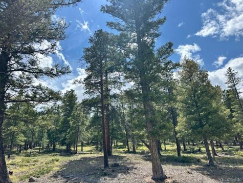 30385 National Forest Drive Buena Vista CO 81211