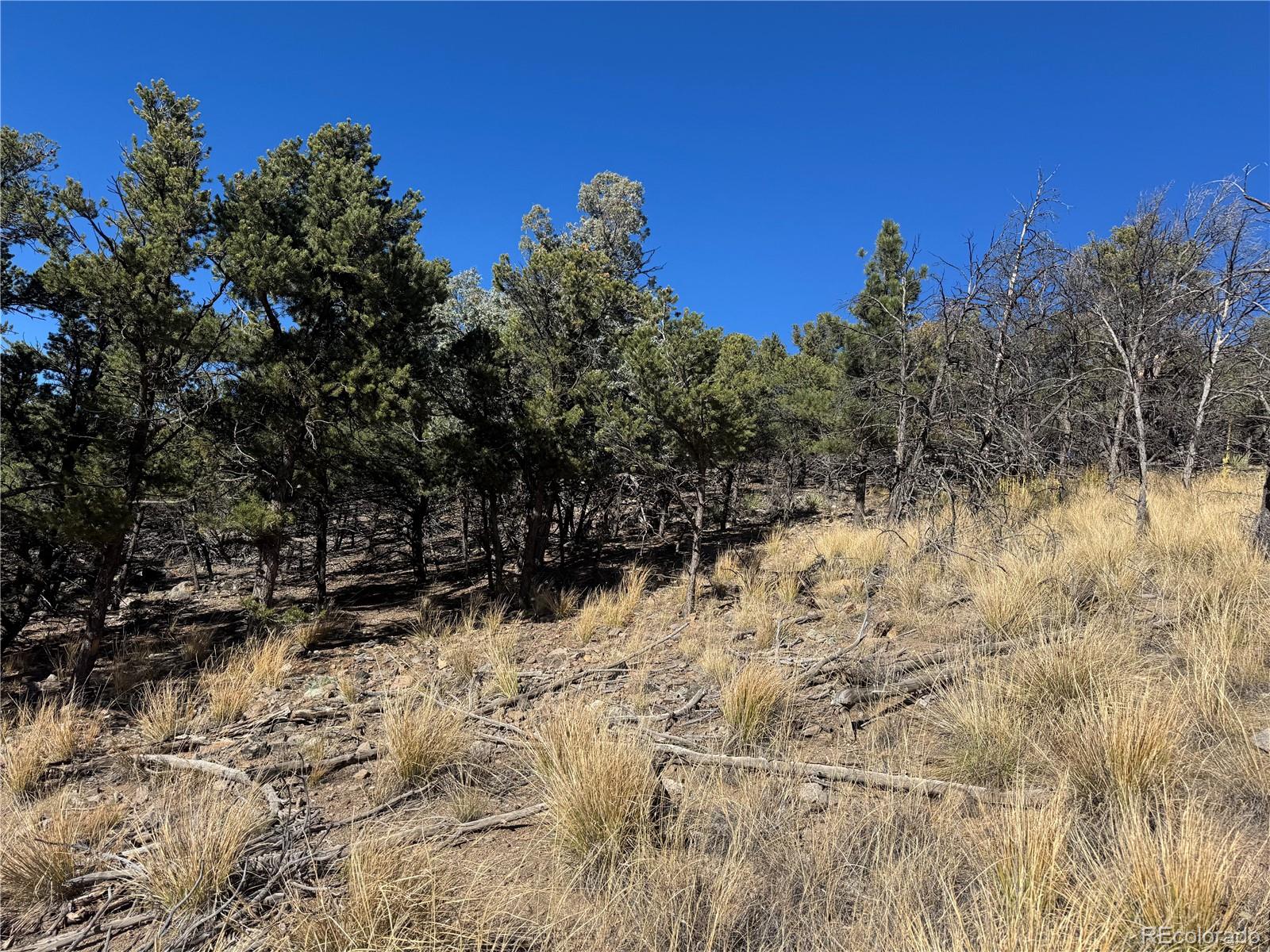 0 G Path Cotopaxi CO 81223