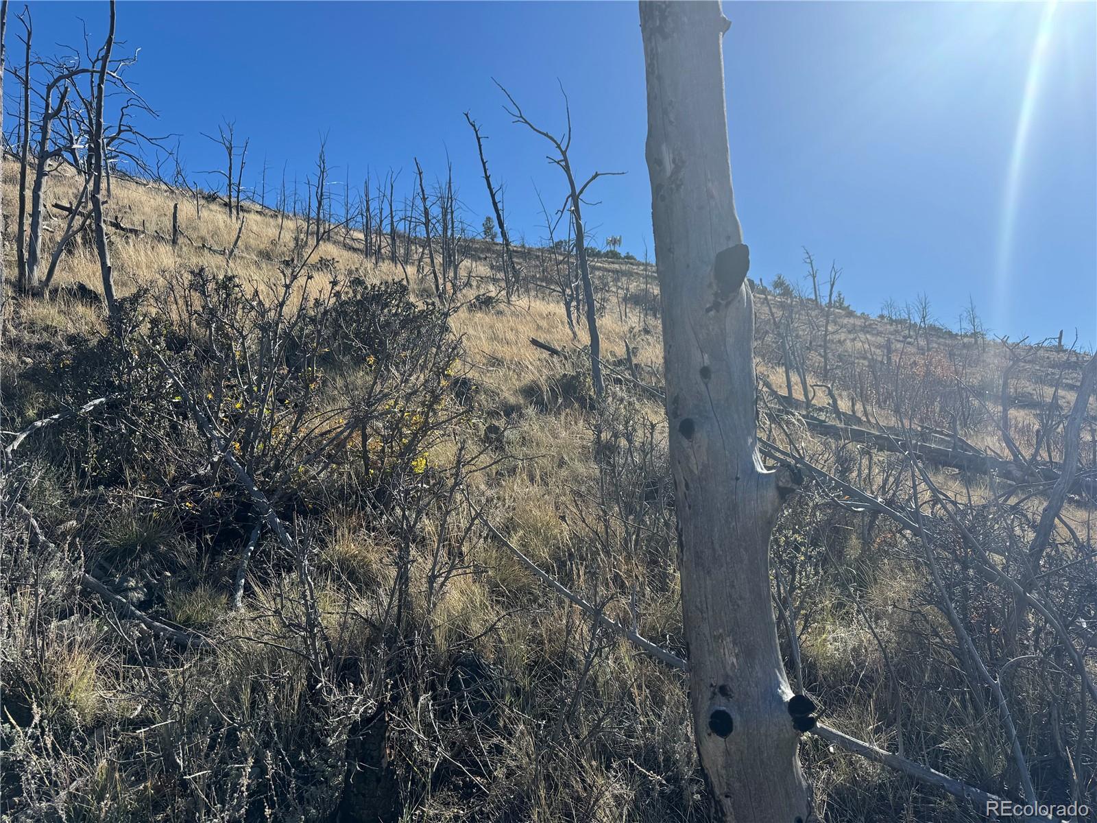 0 G Path Cotopaxi CO 81223