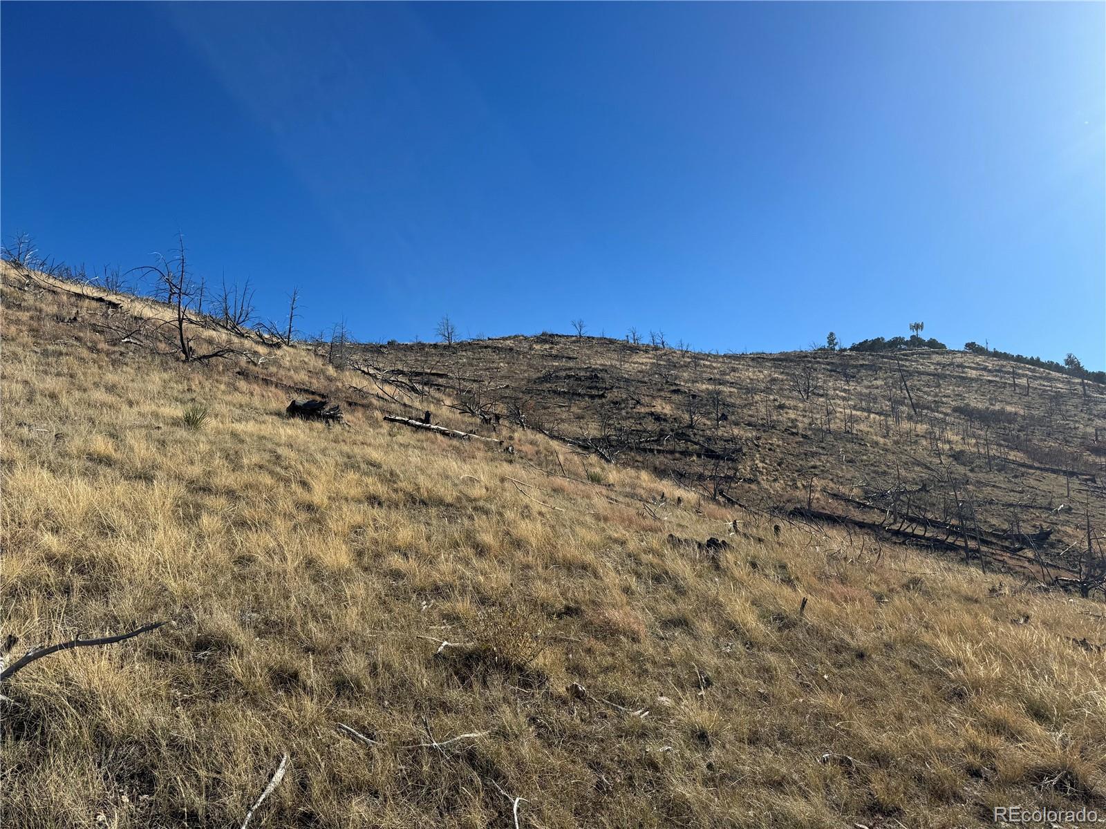 0 G Path Cotopaxi CO 81223