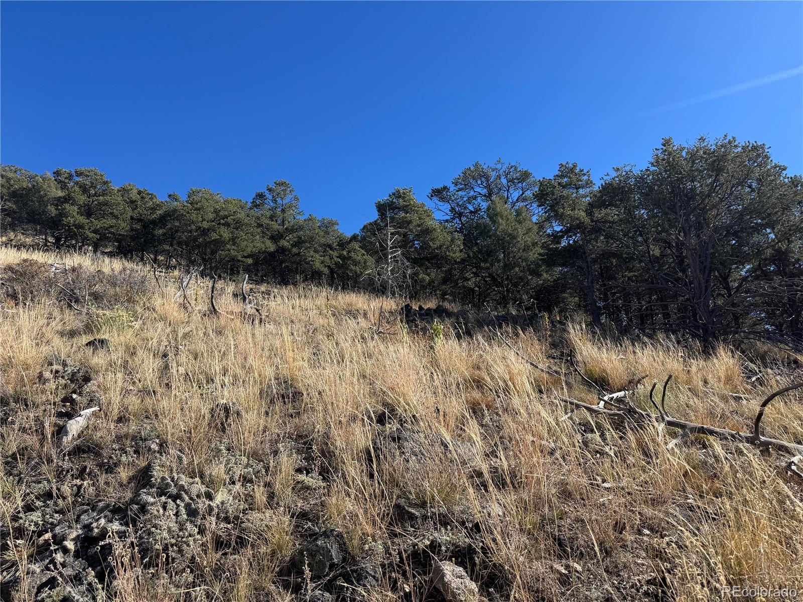 0 G Path Cotopaxi CO 81223