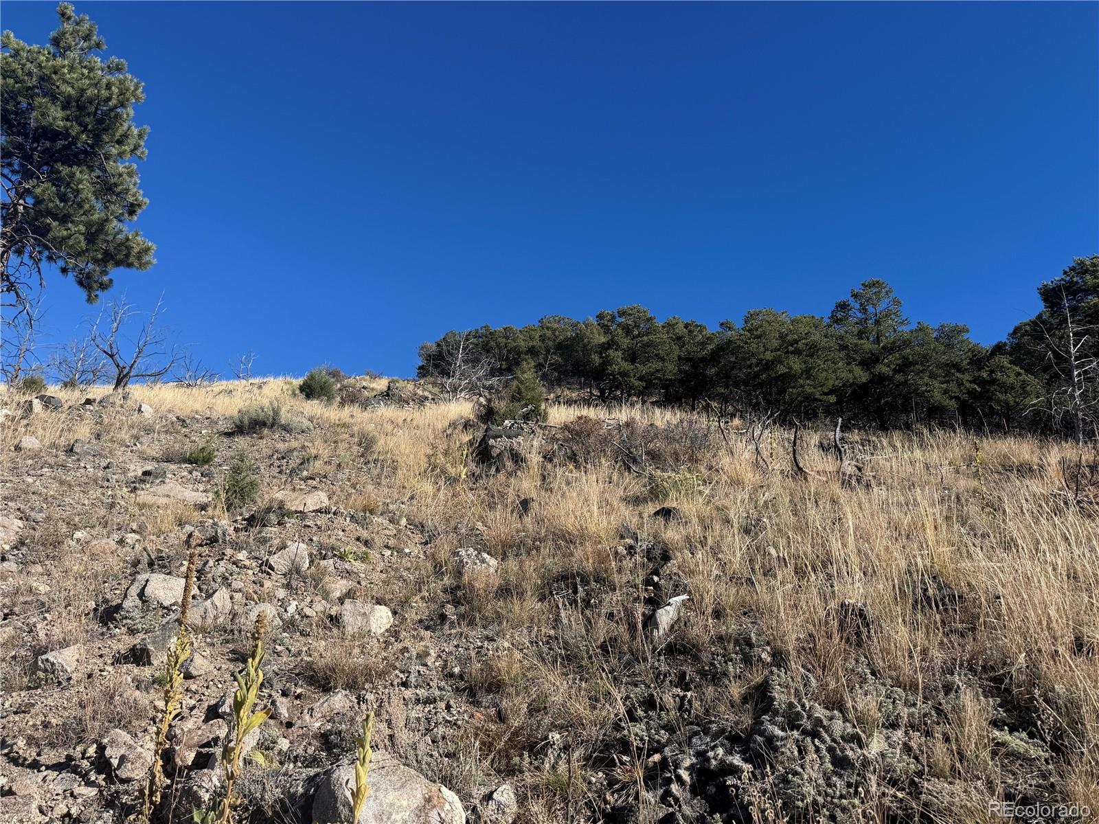 0 G Path Cotopaxi CO 81223
