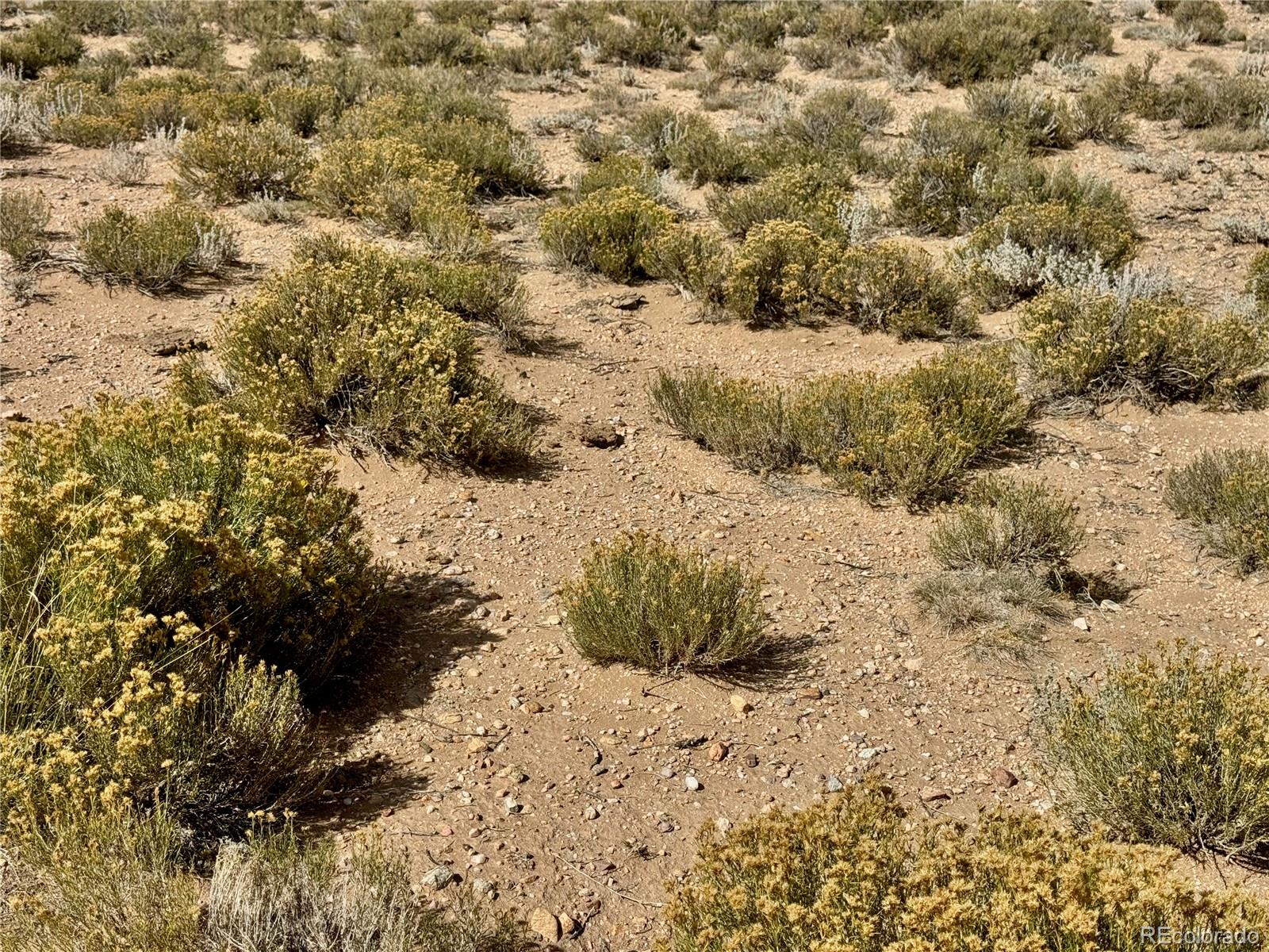 Lot 7 Fourth Street Blanca CO 81123